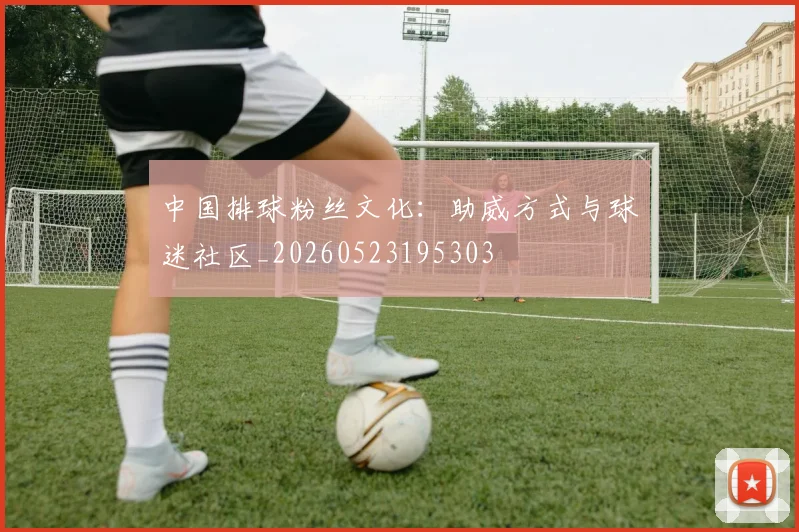 中国排球粉丝文化：助威方式与球迷社区_20260523195303