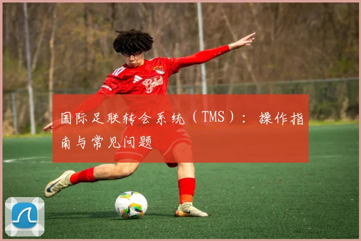 国际足联转会系统(TMS):操作指南与常见问题