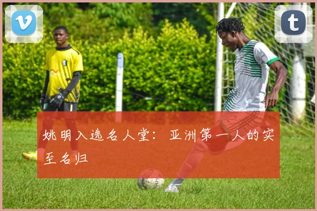 姚明入选名人堂:亚洲第一人的实至名归