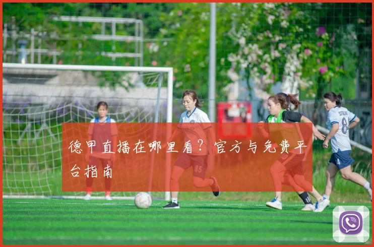 德甲直播在哪里看？官方与免费平台指南