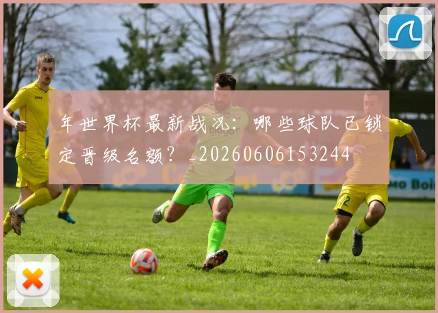 年世界杯最新战况：哪些球队已锁定晋级名额？_20260606153244